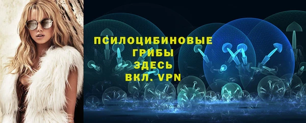 mdpv Армянск